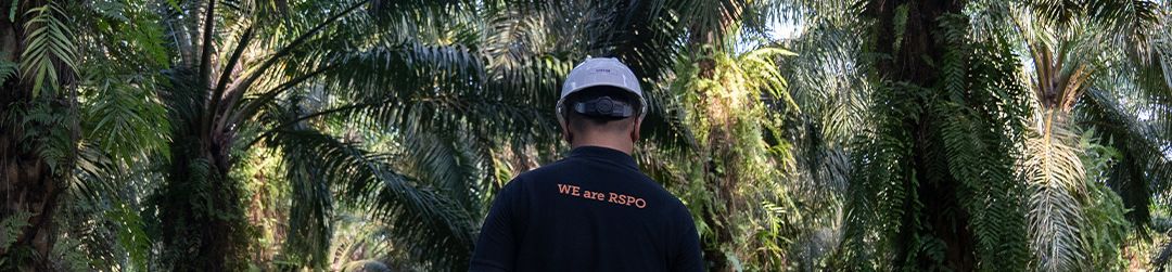 RSPO Certification Expanded 